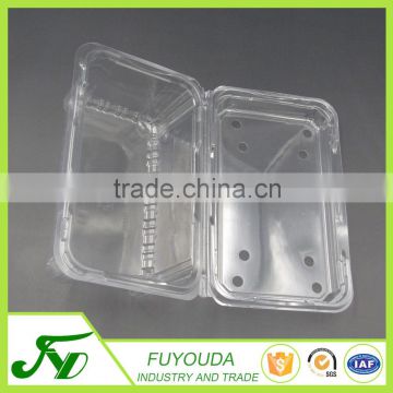 High quality wholesale customized fruit plastic container