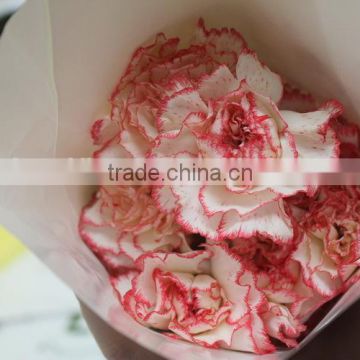 Elegant in smell top sell wedding decorating flower carnation