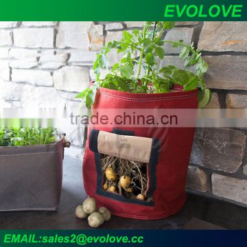 Potato vegetable plant grow bags garden field grow bag