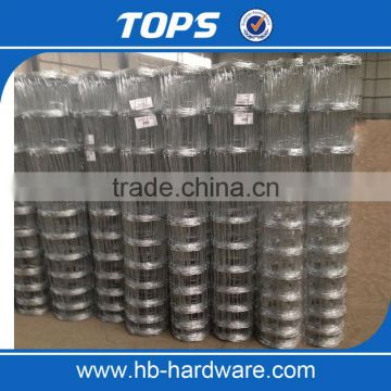 Galvanized cattle fencing pig wire mesh electric cattle fence