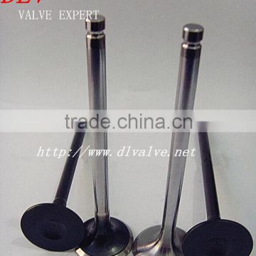 intake and exhaust valve for Fiat JAGUAR
