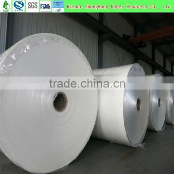 single side PE coated cup paper