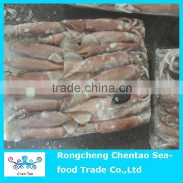 Hot sale frozen todarodes squid