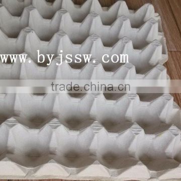 BAIYI Company Sell Paper Pulp Egg Trays (For Hot Sale)
