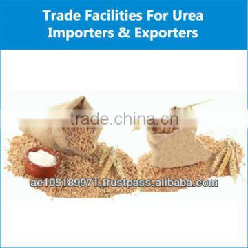 High Quality Fresh Soft Milling Wheat for Sale