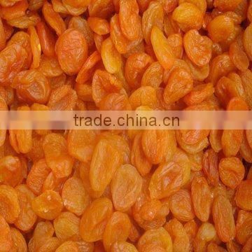 2015 crops sweet taste dried apricot