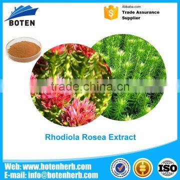 2017 most popular GMP standard Rhodiola rosea root Extract With Bottom Price