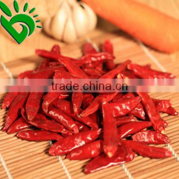 Drying Red Chillies Manufacturer