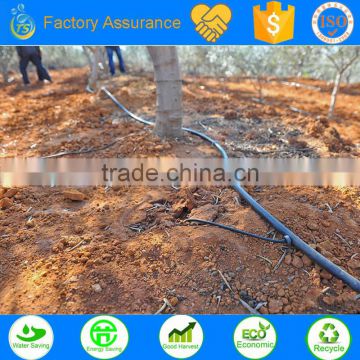 drip irrigation for trees project sample