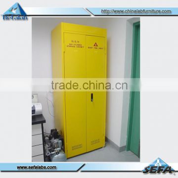 All Kind of Laboratory Safety Gas Cylinder Cabinet