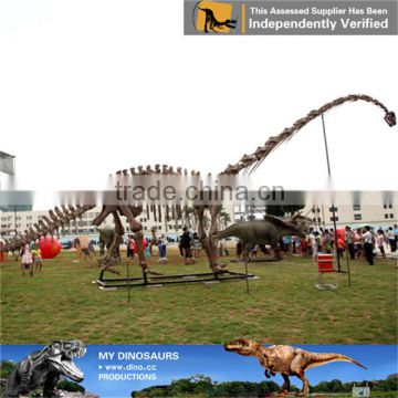 MY Dino-C0100 City plaza large dinosaur skeleton model