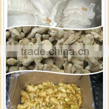 chinese high quality dried ginger for sale