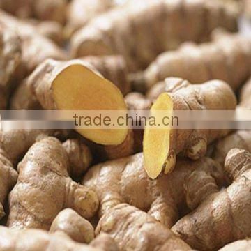 fresh ginger in China