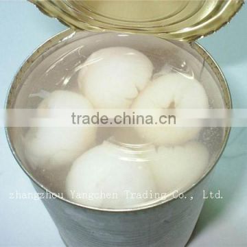 565g Canned Lychee in light syrup to Thailand