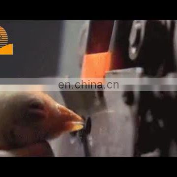 hot chicken beak cutter cutting mouth machine for chicken