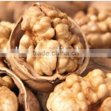 Brand dried walnut in shell with low price ukraine walnut