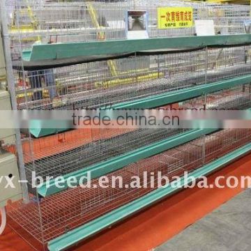 poultry feeding cage