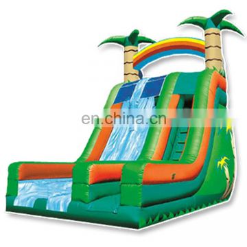 Large summer hot Inflatable water slide inflatable dry slide for kids
