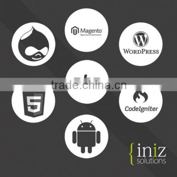 Hosting and Domain Web software development