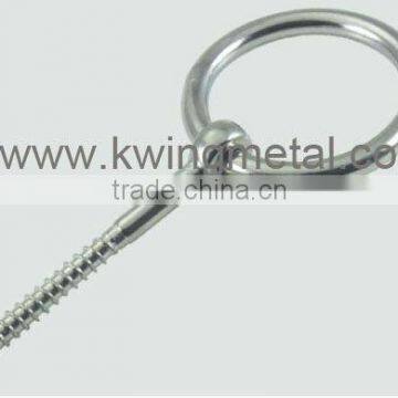 Stainless Steel Eye Bolt With Ring