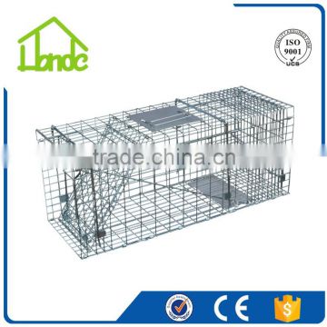 Live Cat Cage HD561731