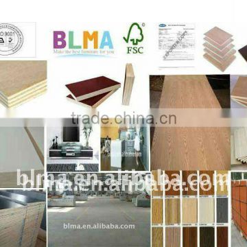 12mm MEL glue shuttering film faced plywood with plywood press machine