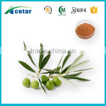 nature purity material olive leaf extract nature republic