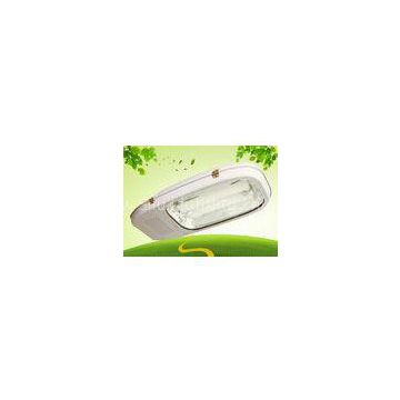 Industrial Park Low Frequency Induction Street Light 300W IP65 Eco Friendly