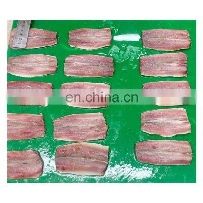 High quality frozen sardine fish fillet IQF boneless