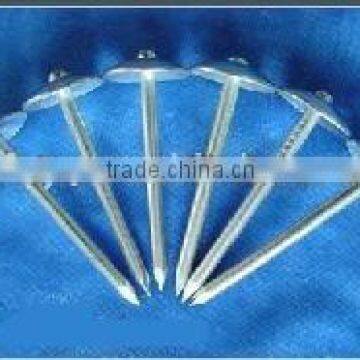 umbrella roofing nails with smooth or twisted shank