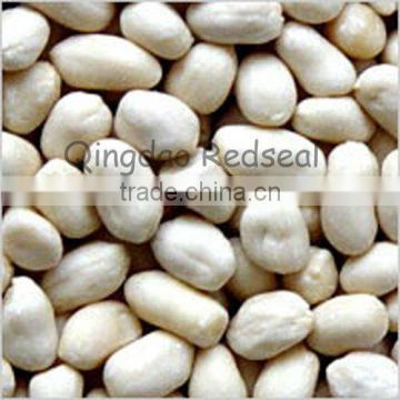 new crop of Blanched Peanut kernels
