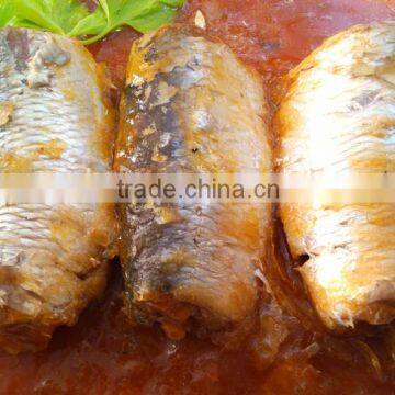 sardinas en lata en salsa de tomate con sabor picante