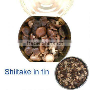 canned mushrooms shiitake lentinus edodes in tin 3100ml