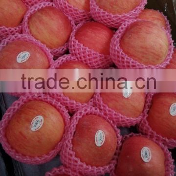 Fresh Red Delicious Apples From China 2015