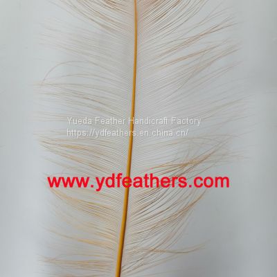 Burnt Ostrich Feather|Plume Dyed Yellow from China