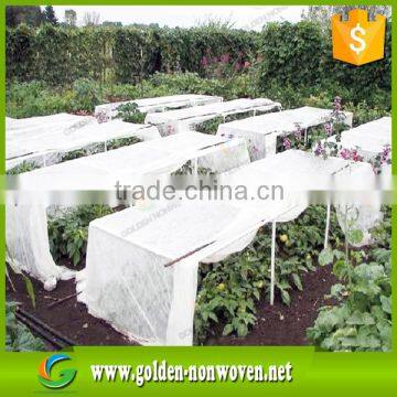 Eco-friendly and UV resistance agricultural PP spunbond nonwoven fabric for plants cover and fruit bag