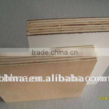 1220*2440mm MR glue Plywood sheet with best price