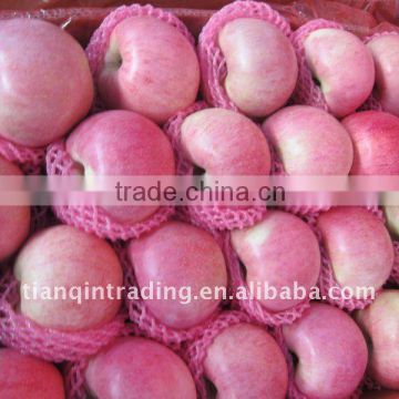 Shannxi Qinguan apple