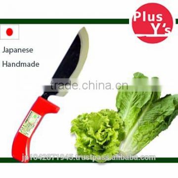 Easily cuts through produce Japanese Knife harvest for Lettuce