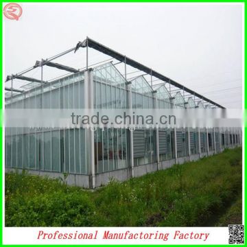 China Venlo polycarbonate sheet greenhouse with vegetable seeds