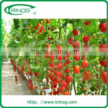 Commercial hydroponic growing systems for sale