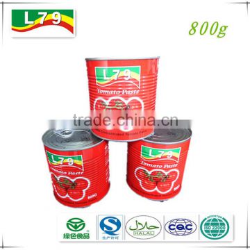 high quality tomato paste 800g canned