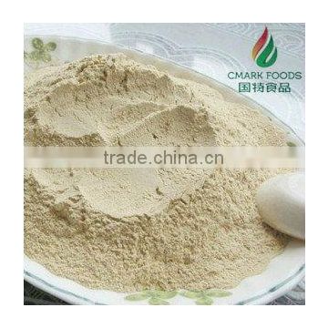 dehydrated white onion powder from China