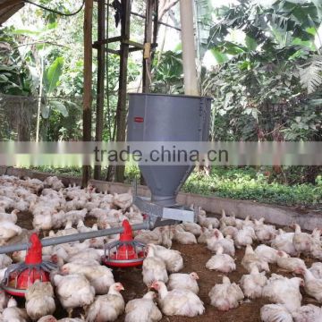 New sales!!!! high quality poultry feeder chicken feede boiler chicken