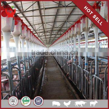 New Products Low Cost High Output Pig Feeding Equipment