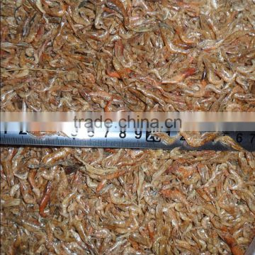 Top quality dry shrimp // fish food dried shrimp