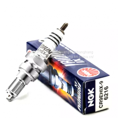 Iridium Auto Car Spare Parts Platimum Bujia Spark Plugs for Honda Acura OEM Bkr6e-11 2756 Spark Plug
