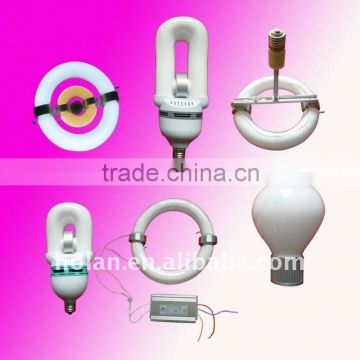 Energy saving electrodeless induction lamp
