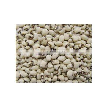 COW PEAS