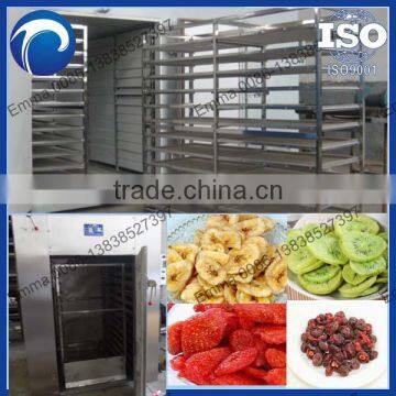 China genyond machinery fruit drying machine dehydrating machine fruit  drying vegetable factory and manufacturers